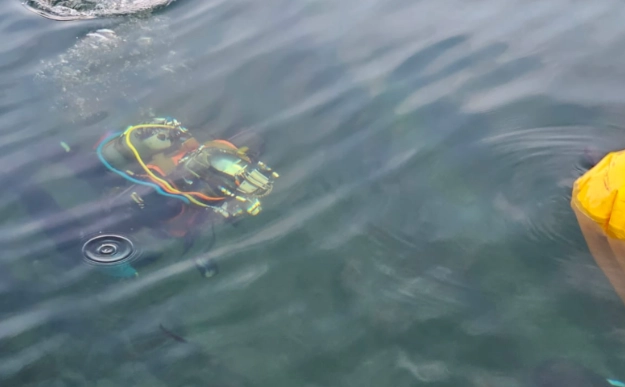sub sea cable laying