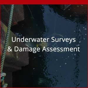 Damages Dagger Diving Services