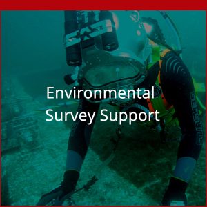 Environmental2 Dagger Diving Services