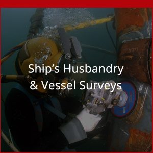 Husbandry2 Dagger Diving Services