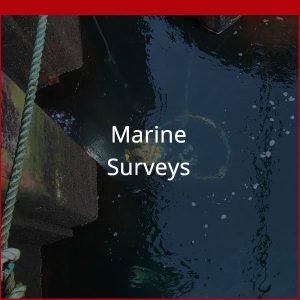Marine Surveys Marine Surveys